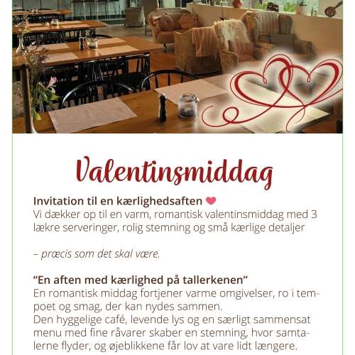 Invitation til middag hos MIVI's