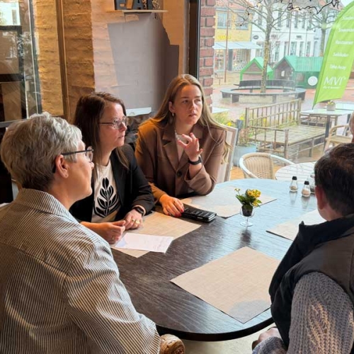 Modeshow planlægges